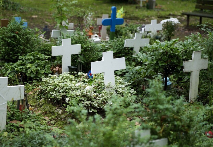 Picture 6 for Activity Cologne: Melaten Cemetery with Old Town Private Tour