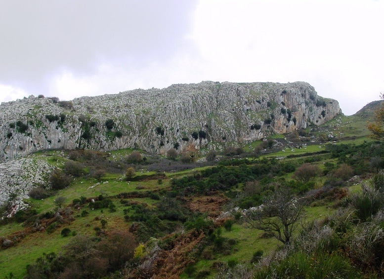 Picture 3 for Activity From Troina: Private Nebrodi National Park Guided Hike