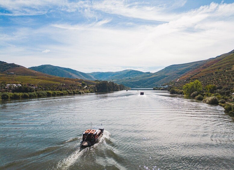 Picture 1 for Activity From Pinhão: Douro Valley Rabelo Boat Tour with Audio Guide