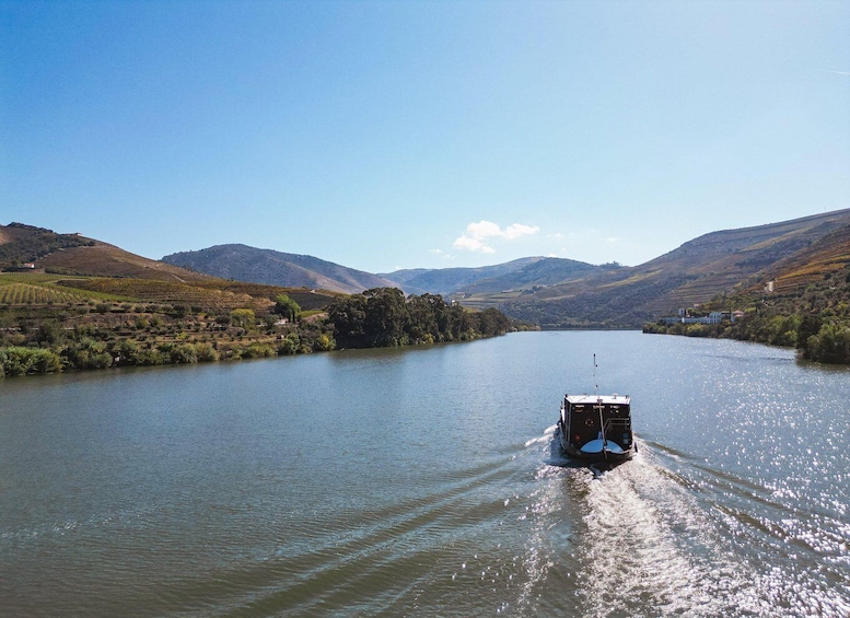 Picture 4 for Activity From Pinhão: Douro Valley Rabelo Boat Tour with Audio Guide