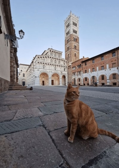 Lucca: walking tour on the stories & legends of the city!