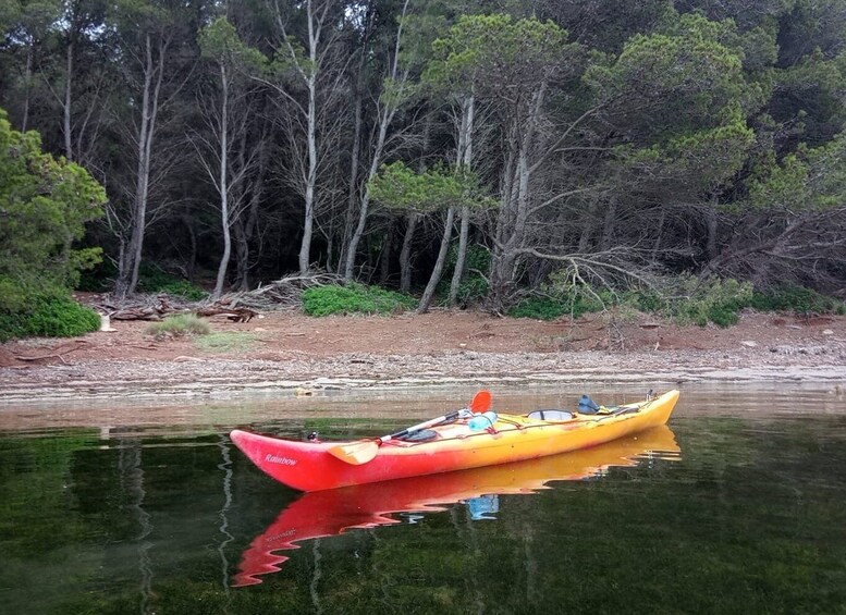 Picture 7 for Activity Fornells Bay: Sunset Kayak Tour from Ses Salines, Menorca.