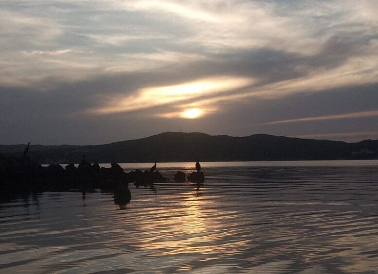 Picture 3 for Activity Fornells Bay: Sunset Kayak Tour from Ses Salines, Menorca.