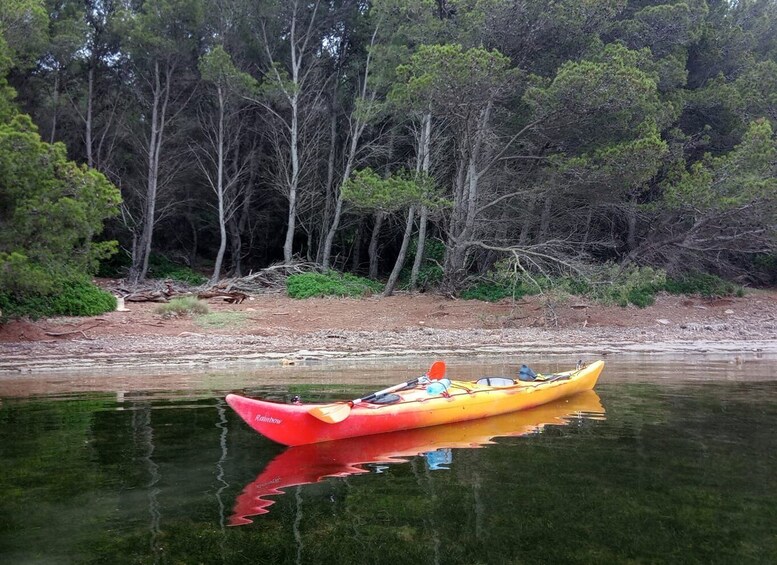 Picture 7 for Activity Fornells Bay: Sunset Kayak Tour from Ses Salines, Menorca.