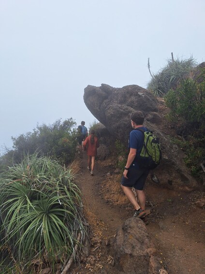 Picture 3 for Activity From Santiago: Andes Lookout, Half-Day Hike