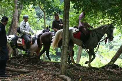 Horse Riding in Nuwara Eliya