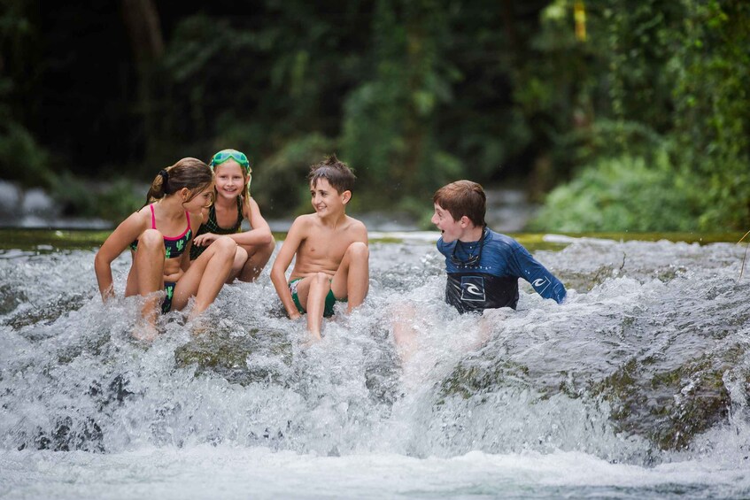 Picture 1 for Activity Efate: Tropical Park Excursion at Eden on the River