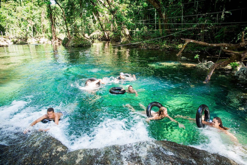 Picture 2 for Activity Efate: Tropical Park Excursion at Eden on the River