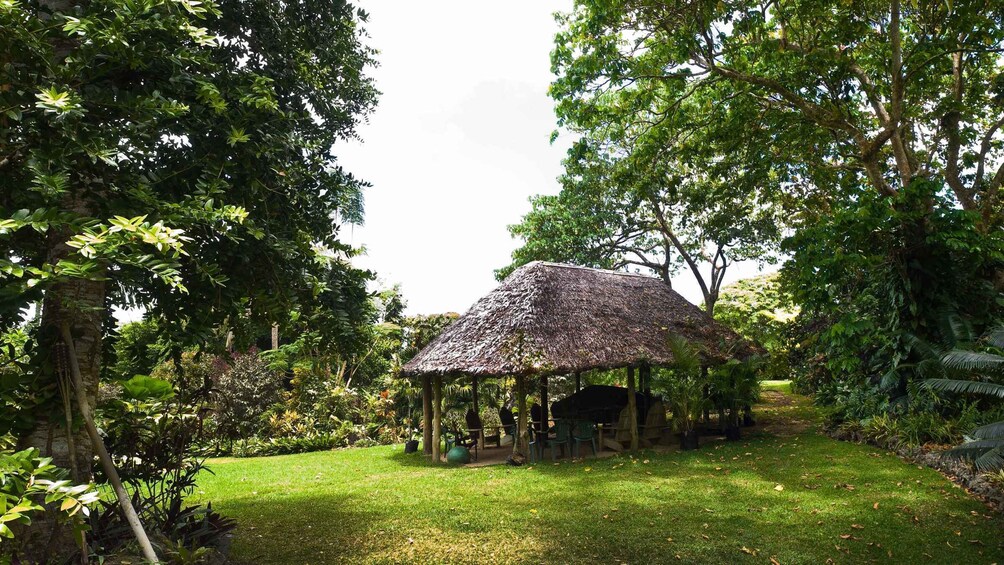 Picture 4 for Activity Efate: Tropical Park Excursion at Eden on the River