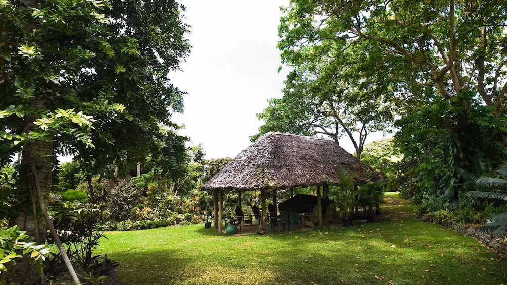 Picture 4 for Activity Efate: Tropical Park Excursion at Eden on the River