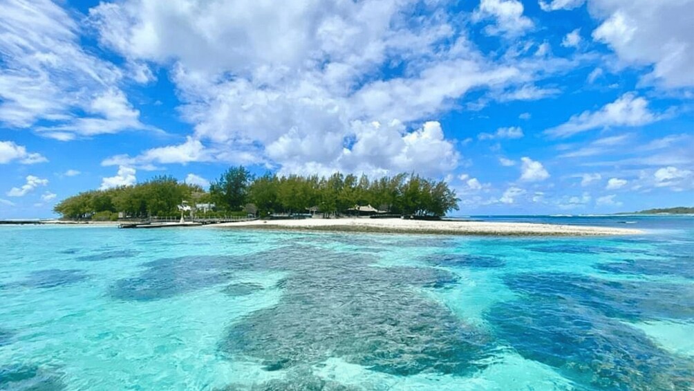 Picture 7 for Activity Blue Bay to Île aux Aigrettes: Exclusive Snorkeling Tour