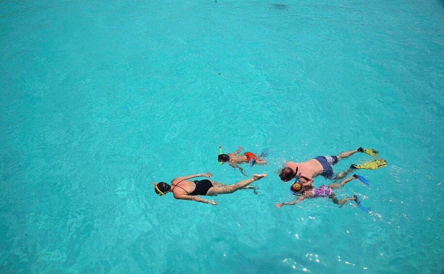 Picture 8 for Activity From Nungwi: Mnemba Boat Tour with Snorkeling