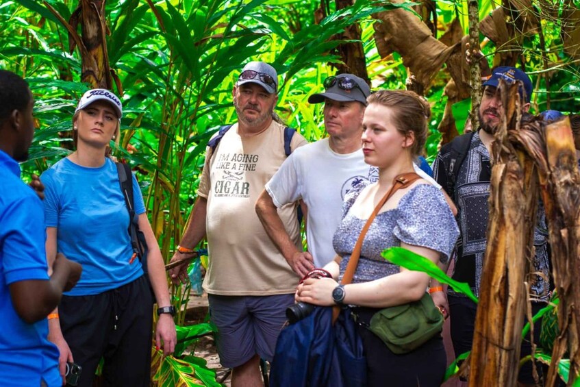 Picture 1 for Activity Zanzibar: Spice Farm & Stone Town City Tour with a Guide