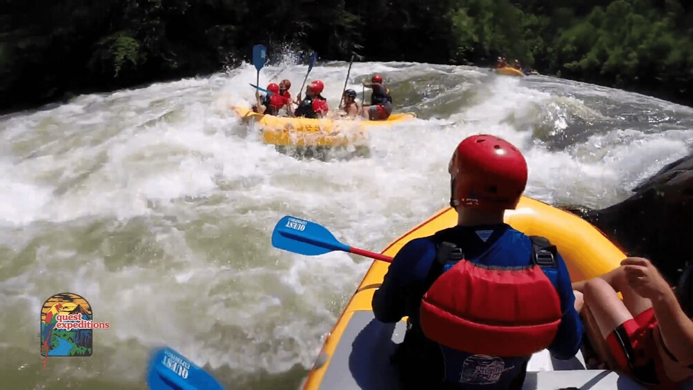 Picture 6 for Activity Full Ocoee River Whitewater Trip with Riverside Lunch