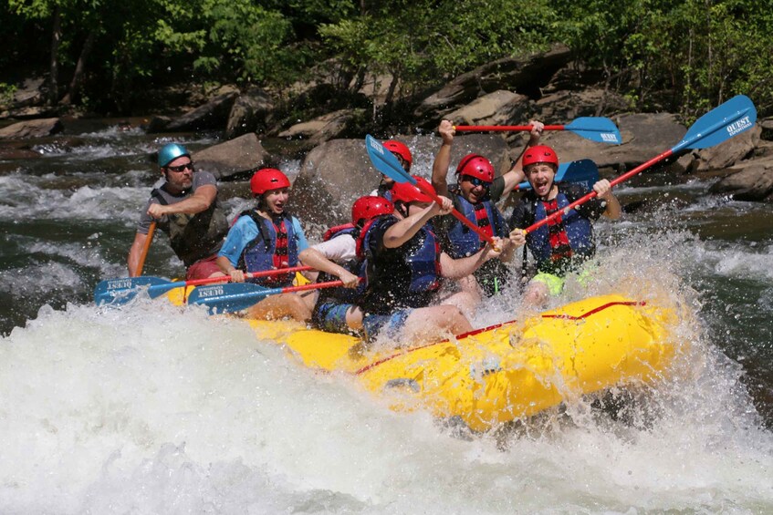 Picture 5 for Activity Full Ocoee River Whitewater Trip with Riverside Lunch