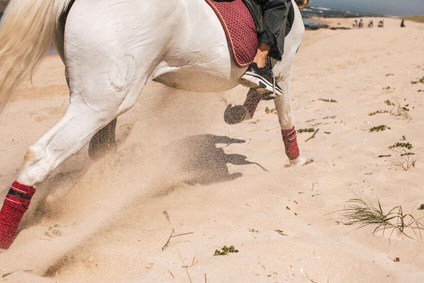 Picture 6 for Activity Horseback Riding Tour