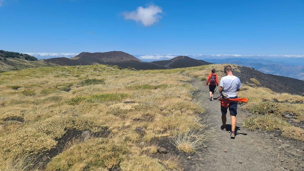 Picture 3 for Activity Mount Etna: Ascent to 2800m by 4x4