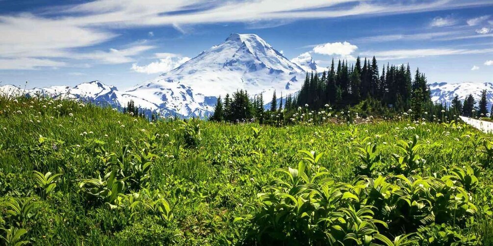 Picture 1 for Activity From Seattle - Enchanting Mt Baker & Cascade mountains tours