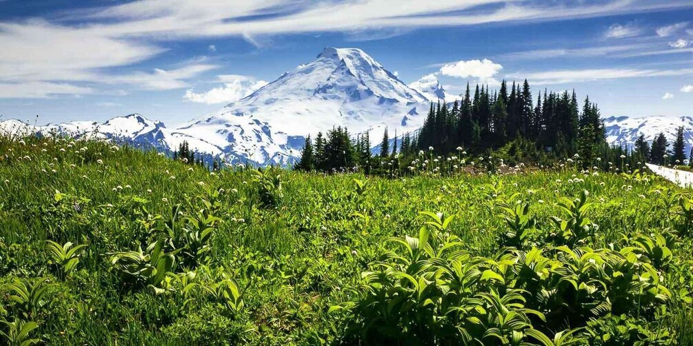 Picture 1 for Activity From Seattle - Enchanting Mt Baker & Cascade mountains tours