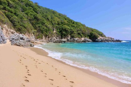 From Huatulco: Private 7 Bays Boat Tour