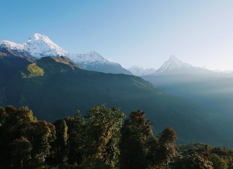 Picture 18 for Activity Pokhara: 4-Days Ghorepani and Poon Hill Trek via Ghandruk