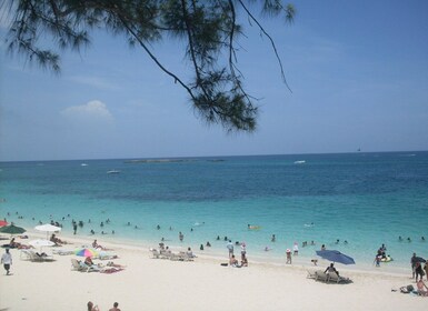 Visite en bus touristique de Nassau