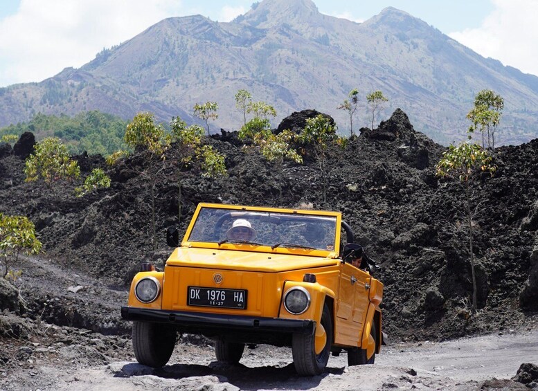 Picture 1 for Activity Mount Batur: Adventurous Black Lava Tour With VW Thing