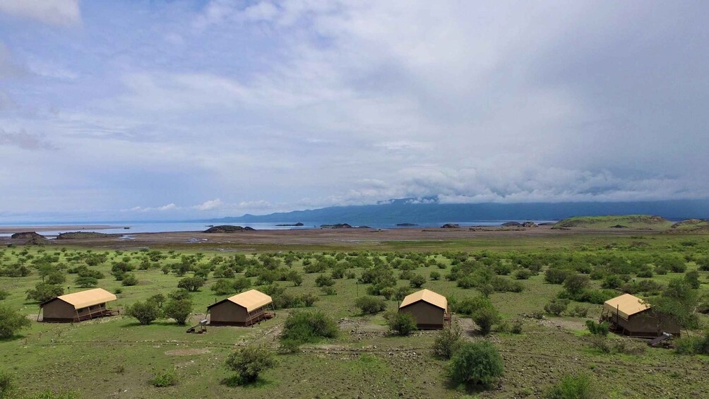 Picture 8 for Activity 3 Days Lake Natron Luxury Escape