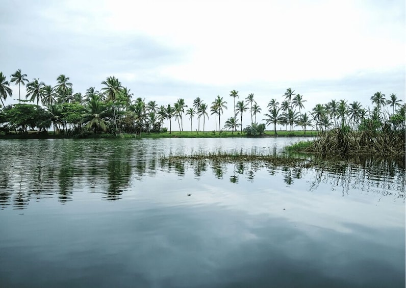 Picture 5 for Activity Highlights of Trivandrum (Guided Half Day City Tour by Car)