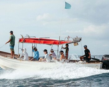 Sayulita: Fishing, Surfing, Snorkeling & Whale Watching Tour