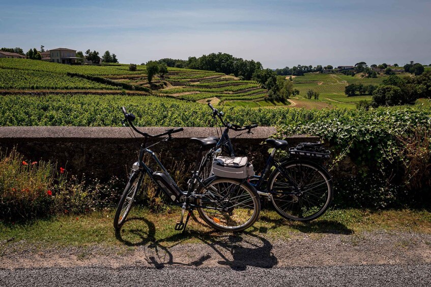 Picture 3 for Activity Saint-Émilion: Wine Tour by Electric Bike and Lunch