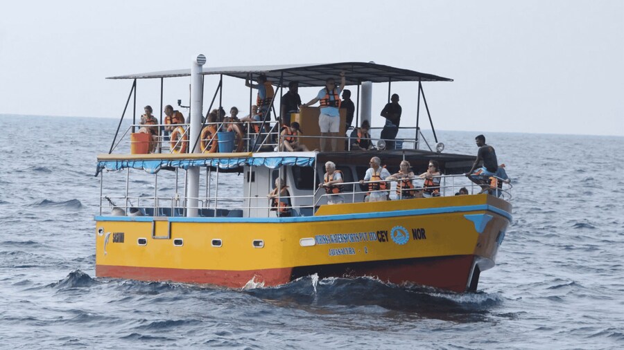 All Inclusive Mirissa Whale and Dolphin Watching Boat Ride
