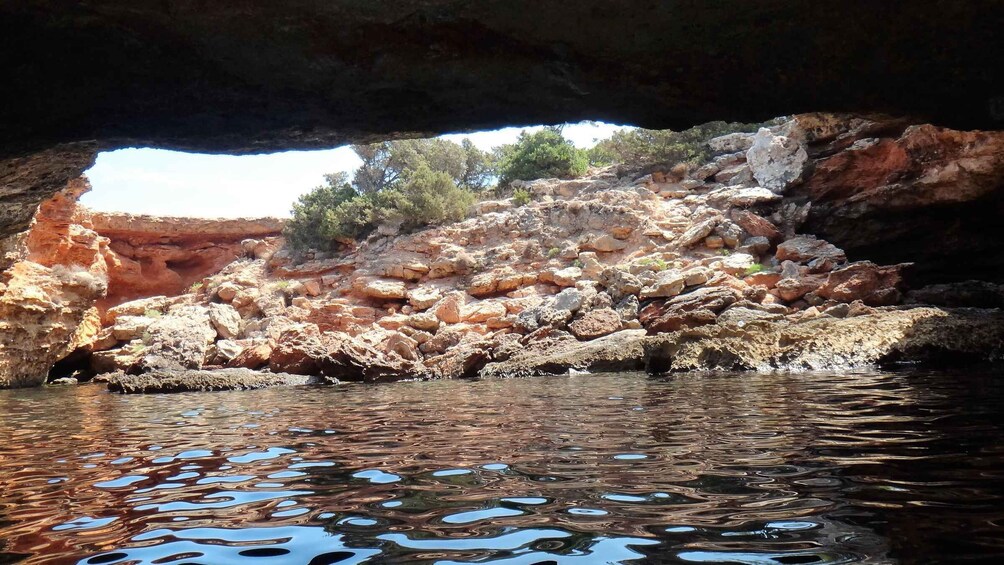 Picture 12 for Activity Ibiza: Sea Caves Snorkeling and Paddle Boarding Tour