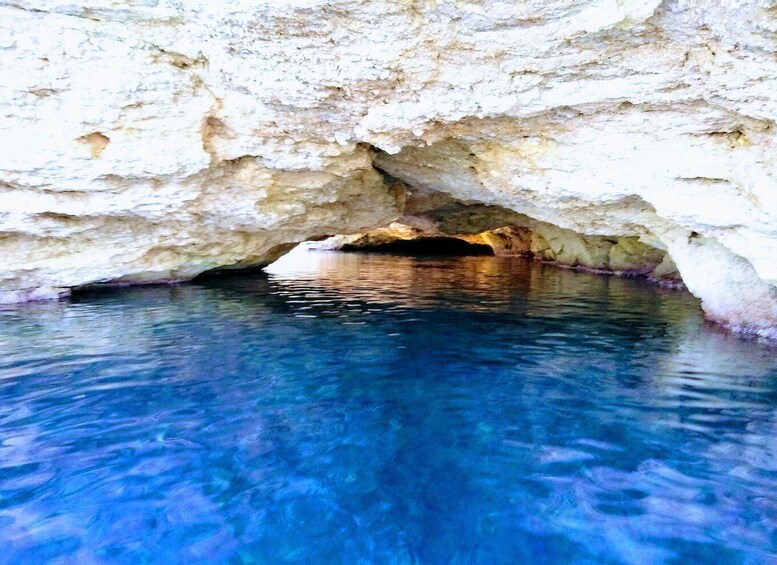 Picture 9 for Activity Ibiza: Sea Caves Snorkeling and Paddle Boarding Tour