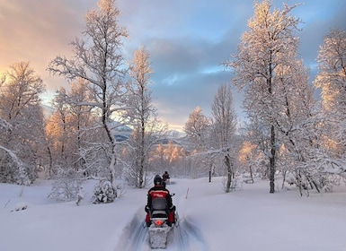 From Tromso: Eco Luxury Snowmobile Adventure to Lyngen Alps