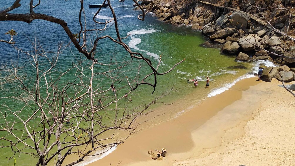 Picture 6 for Activity Puerto Vallarta: Los Arcos Islets Private Snorkeling Tour