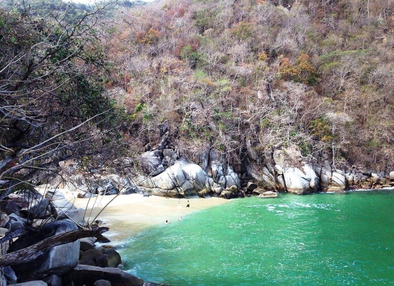 Picture 10 for Activity Puerto Vallarta: Los Arcos Islets Private Snorkeling Tour