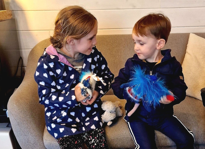 Picture 3 for Activity Reykjavik: Make an Icelandic wool monster