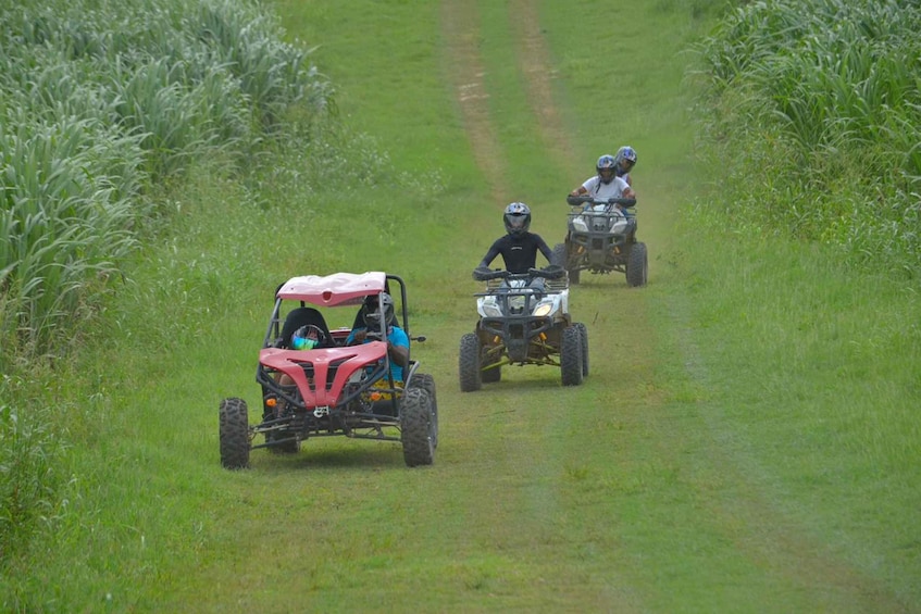 Picture 1 for Activity Full day buggy Safari with lunch and Chavon River Tour