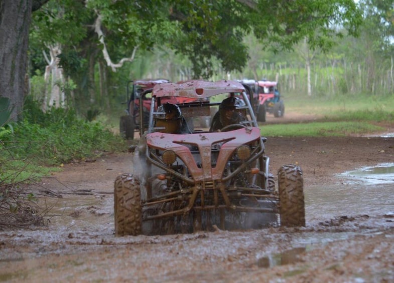 Picture 14 for Activity Full day buggy Safari with lunch and Chavon River Tour