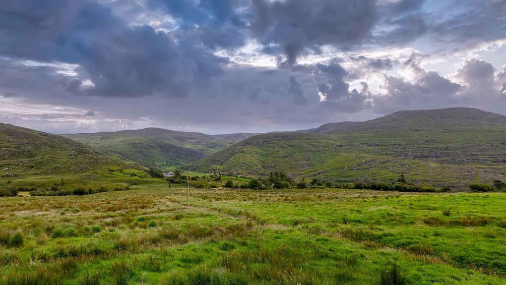 Picture 7 for Activity Private Discover Ring of Beara Tour from Killarney