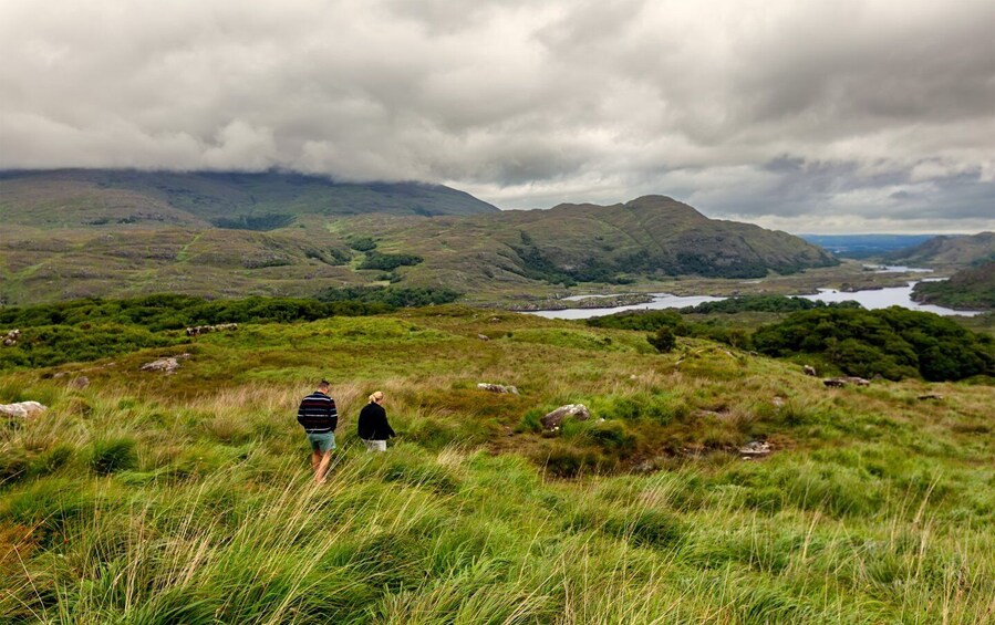 Picture 4 for Activity Private Discover Ring of Beara Tour from Killarney