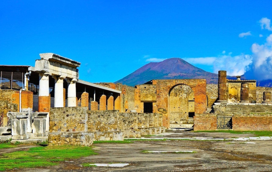 Pompei: Pompeii & Herculaneum Tour with Archaeologist Guide