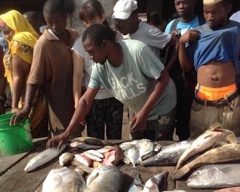 Dar es salaam Fish Market Adventure