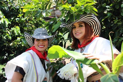 Medellin Tur Kopi dengan Transfer Hotel dan Makanan