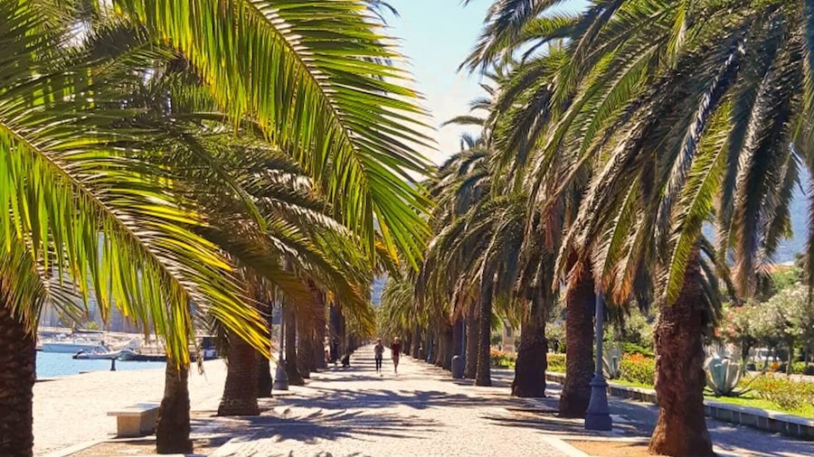 La Spezia: Guided Walking Tour with Italian-Inspired Music