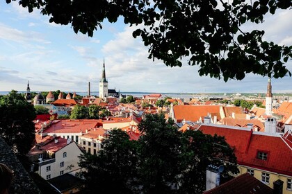 Tallin: recorrido privado de arquitectura con un experto local