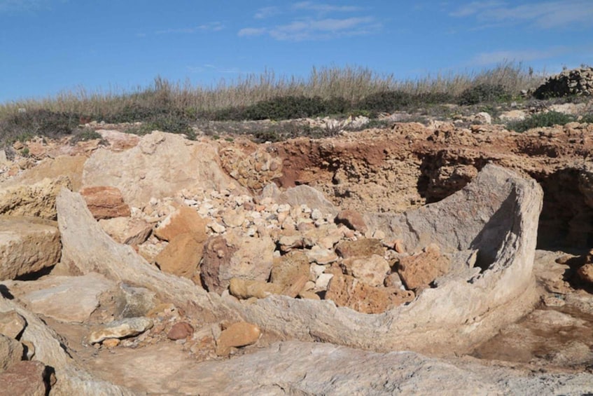 Picture 4 for Activity Noto: Guided trekking and birdwatching at Vendicari Reserve