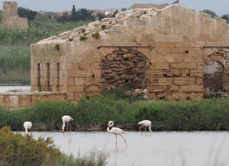 Noto: Guided trekking and birdwatching at Vendicari Reserve