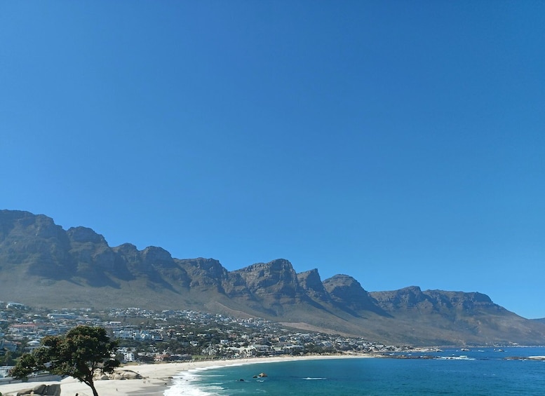 Cape Town: Table Mountain and Penguins Private Guided Tour